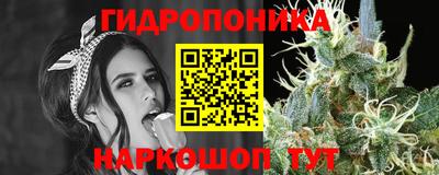 Альфа ПВП Балаково