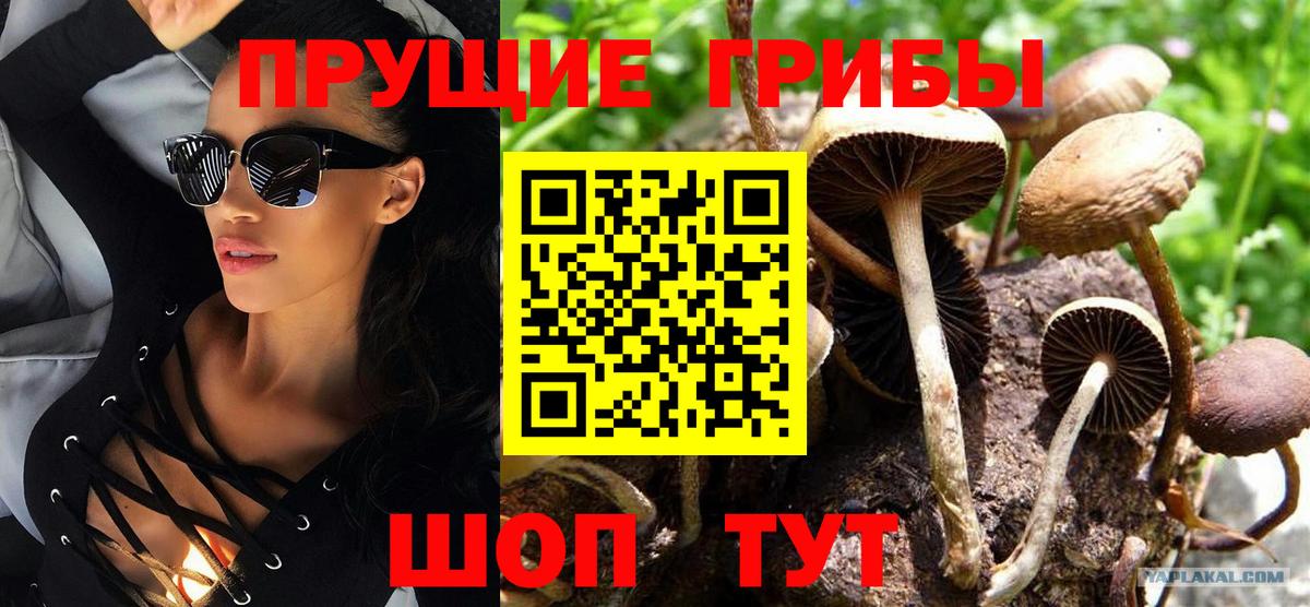 Гуково  Псилоцибиновые грибы прущие грибы  закладка  Вход с VPN 